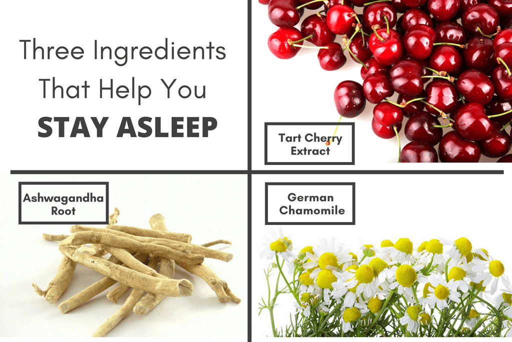 3 Herbs To Help You Stay Asleep - Utzy Naturals