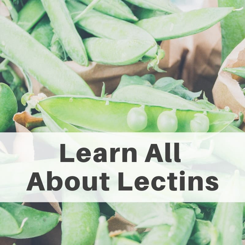 All About Lectins - Utzy Naturals