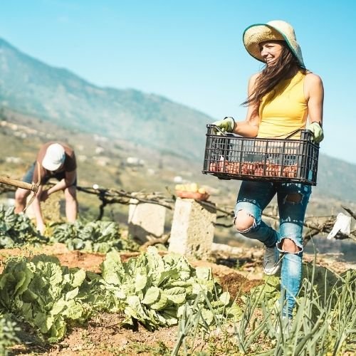 How Community Keeps Your Heart Healthy - Utzy Naturals