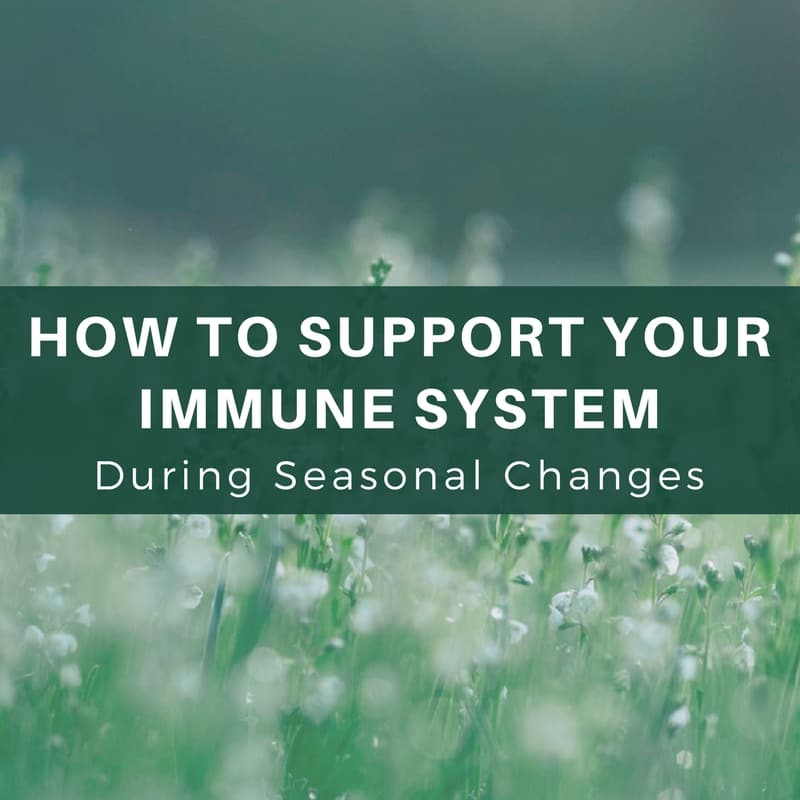 How To Support Your Immune System During Pollen Season - Utzy Naturals