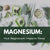 The Role of Magnesium In Sleep