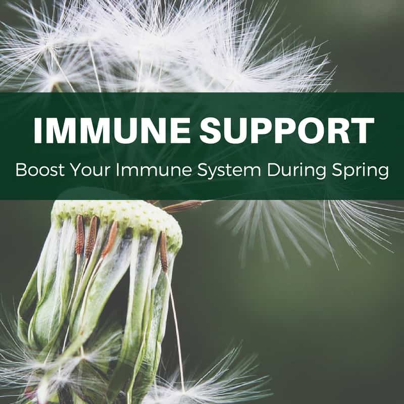 Natural Ways to Fight Seasonal Respiratory Problems - Utzy Naturals