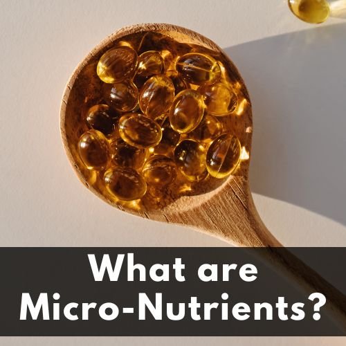 The Benefits of Micronutrients - Utzy Naturals