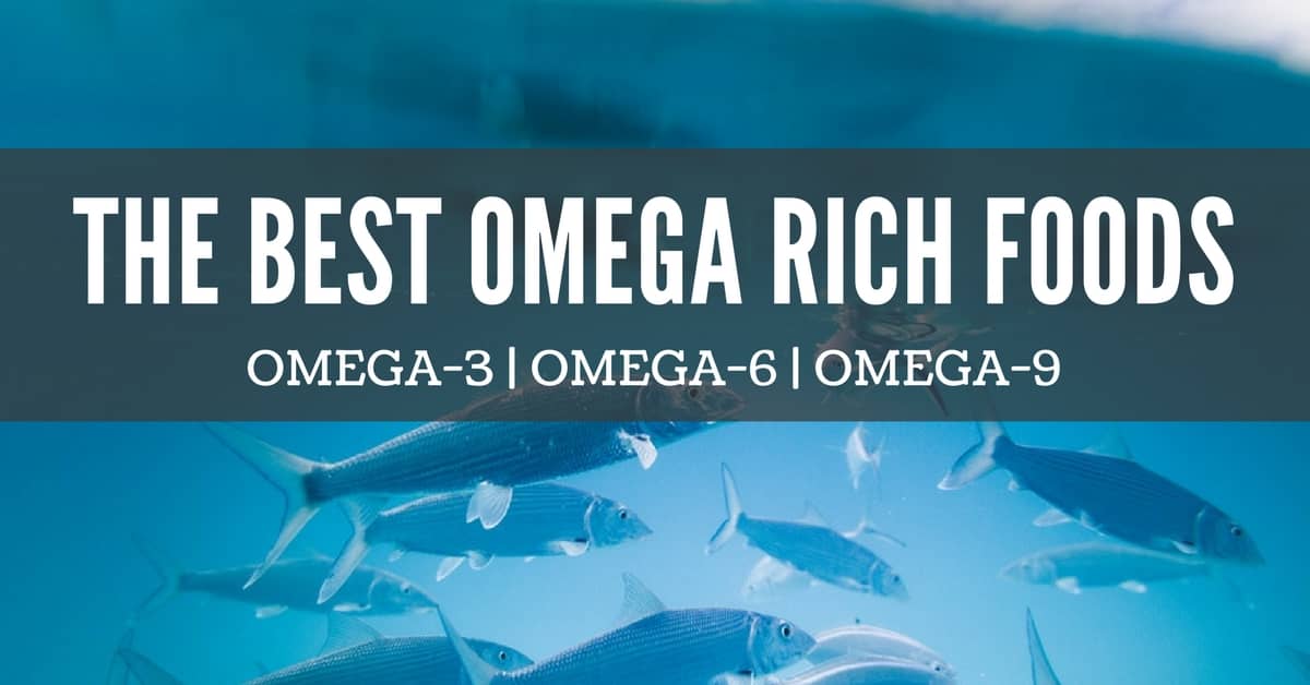 The Best Food Sources of Omega Fatty Acids - Utzy Naturals