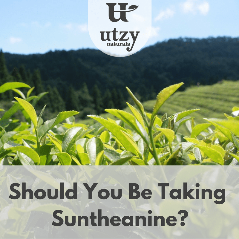 The Complete Guide To Suntheanine® - Utzy Naturals