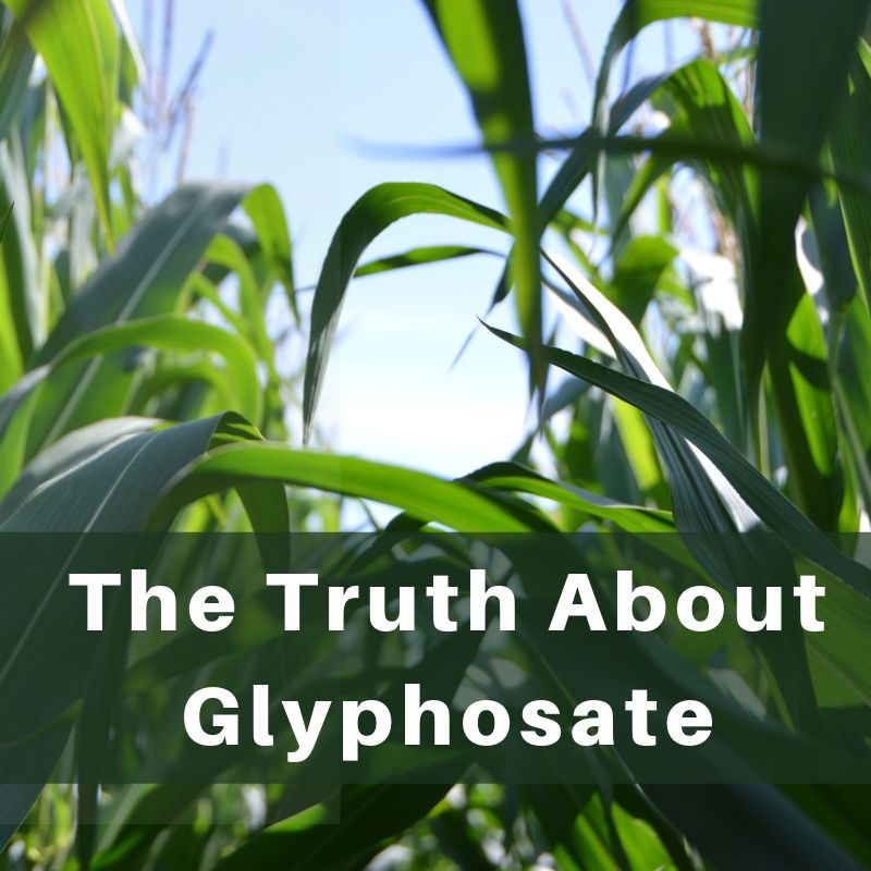 The Truth Behind Glyphosate (Round-Up) - Utzy Naturals