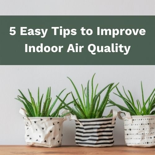5 Easy Tips to Improve Indoor Air Quality - Utzy Naturals