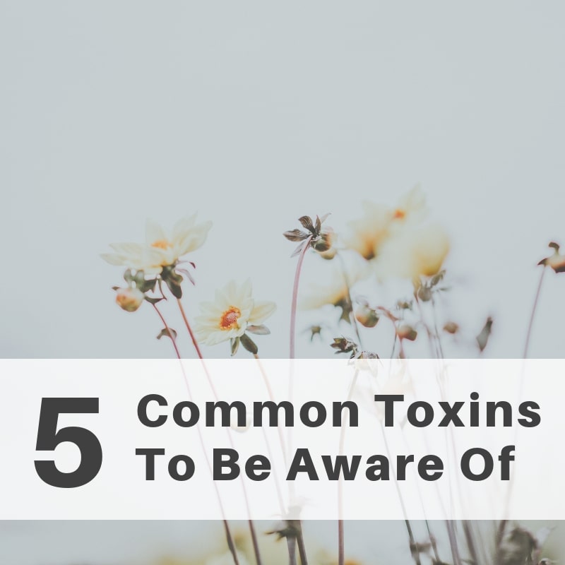 5 Common Toxins Found In Your Everyday Products