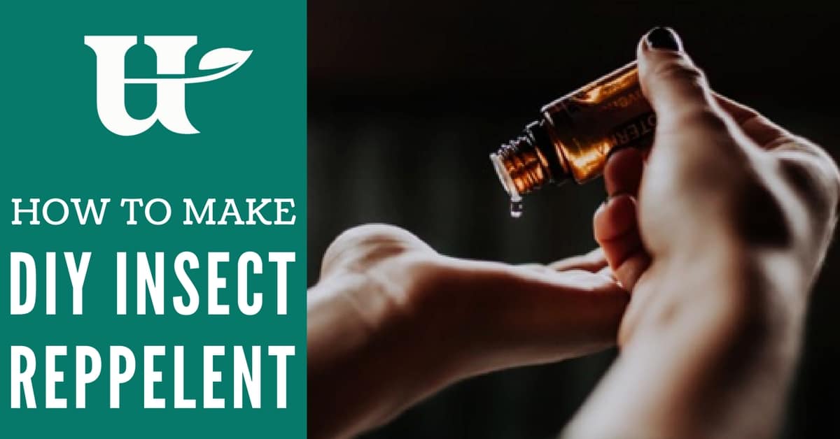 DIY Natural Bug Repellent with Essential Oils
