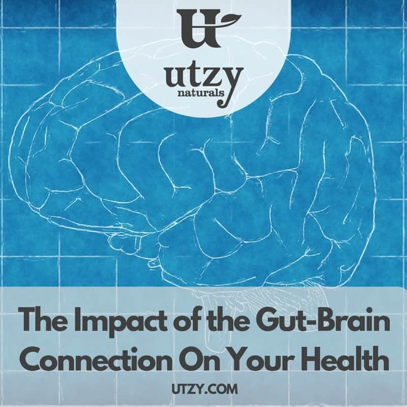 The Gut-Brain Connection and How It Impacts Your Health