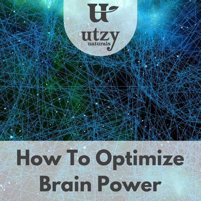 How To Increase Your Brain Power