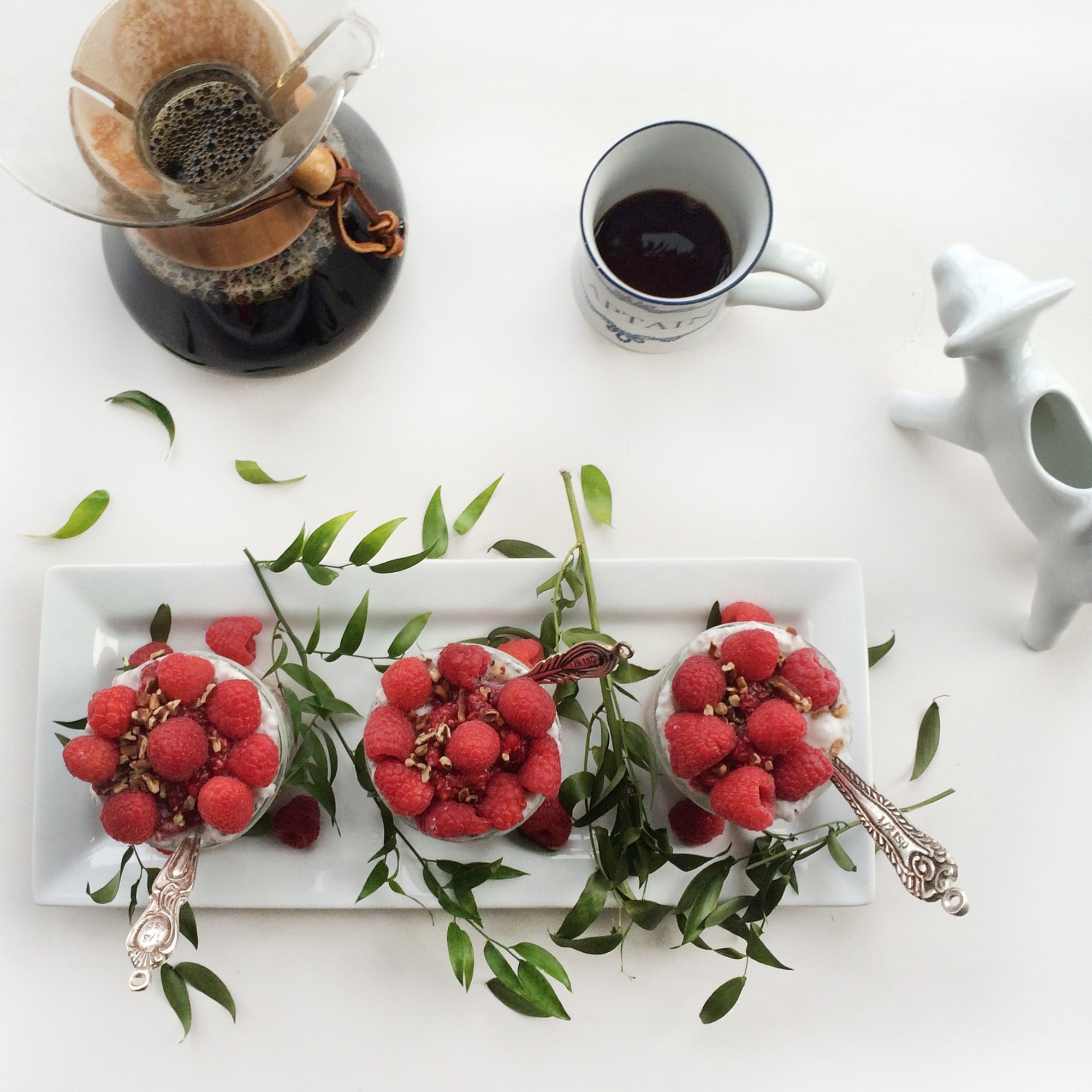 Raspberry Chia Pudding (Recipe)