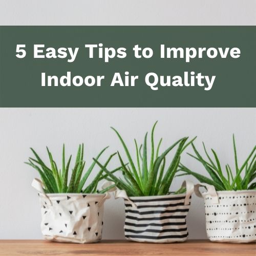 5 Easy Tips to Improve Indoor Air Quality