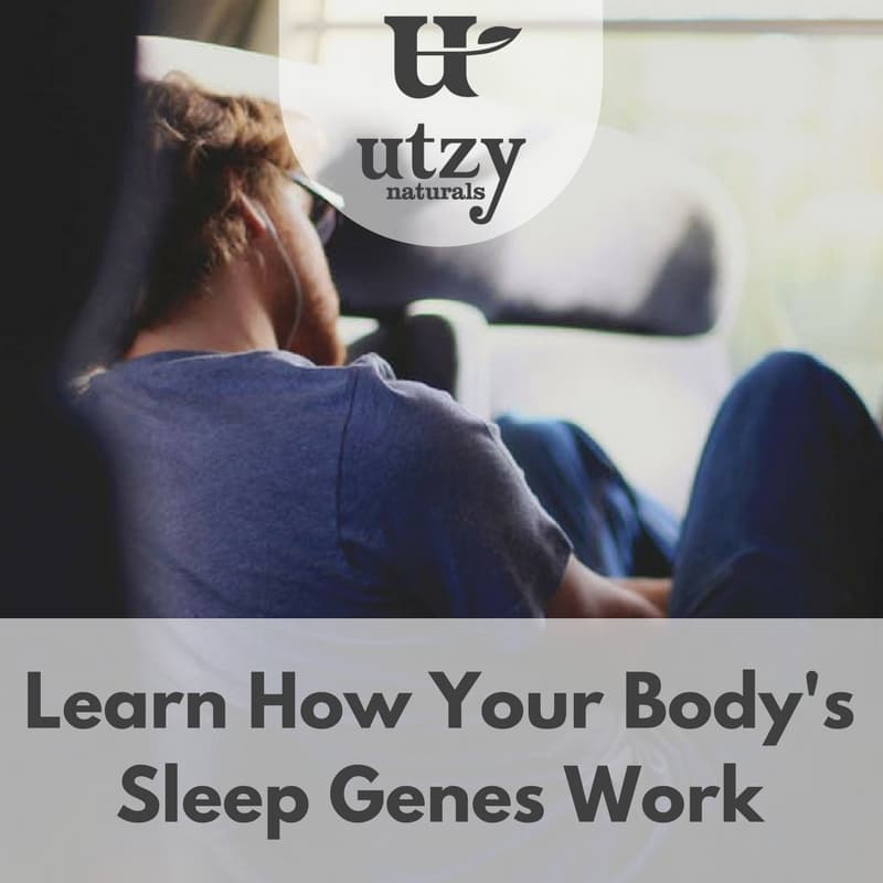 Are You an Early Bird or Night Owl? - Utzy Naturals