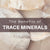 Trace Minerals: The Complete Guide To Why You You Need Trace Minerals