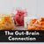 The Gut-Brain Connection and How It Impacts Your Health