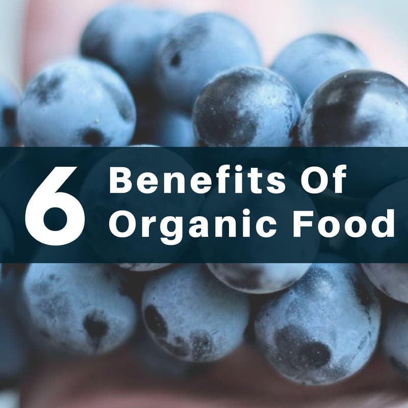 Healthy or Hype: Is Organic Food Better For You? - Utzy Naturals