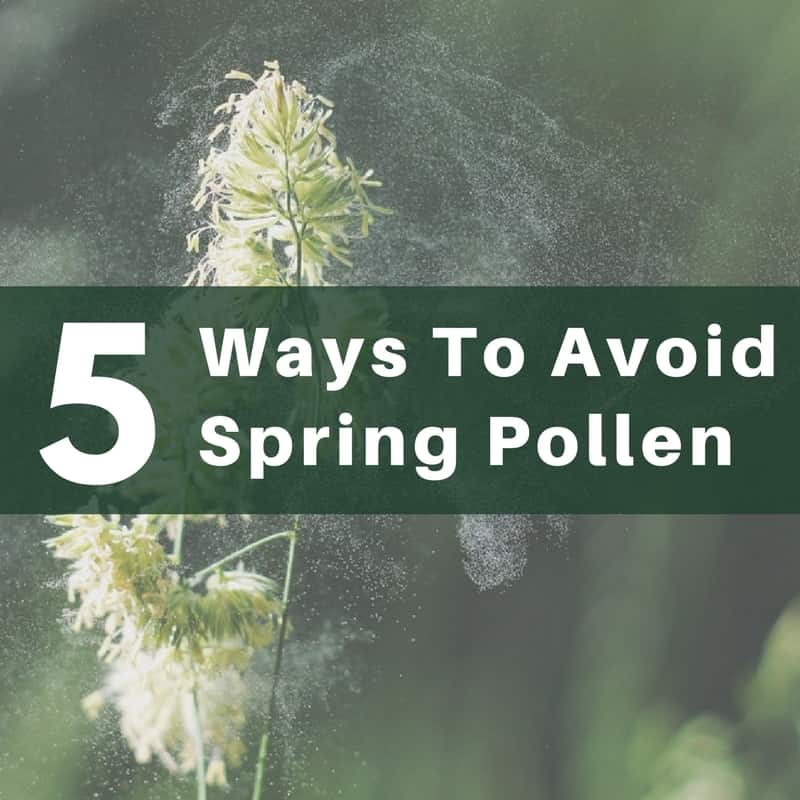 How To Avoid Pollen During Spring
