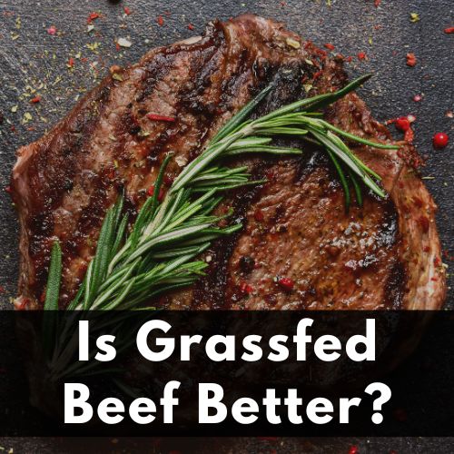 Healthy or Hype: Is Grassfed Beef Better?