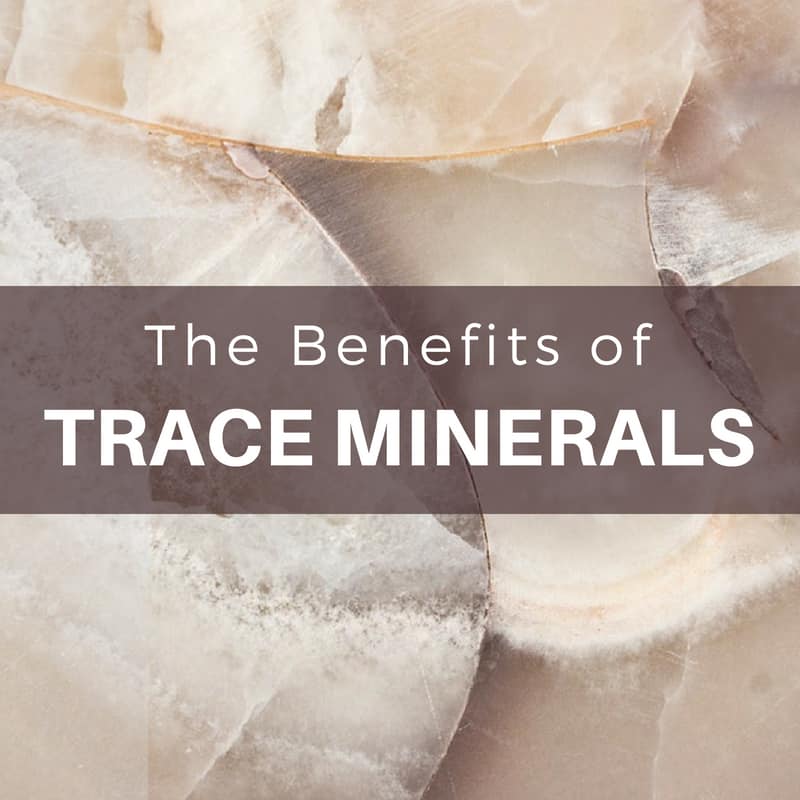 Trace Minerals: The Complete Guide To Why You You Need Trace Minerals - Utzy Naturals