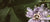 Targeted Formulas
