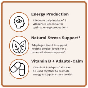 Stress & Energy Bundle