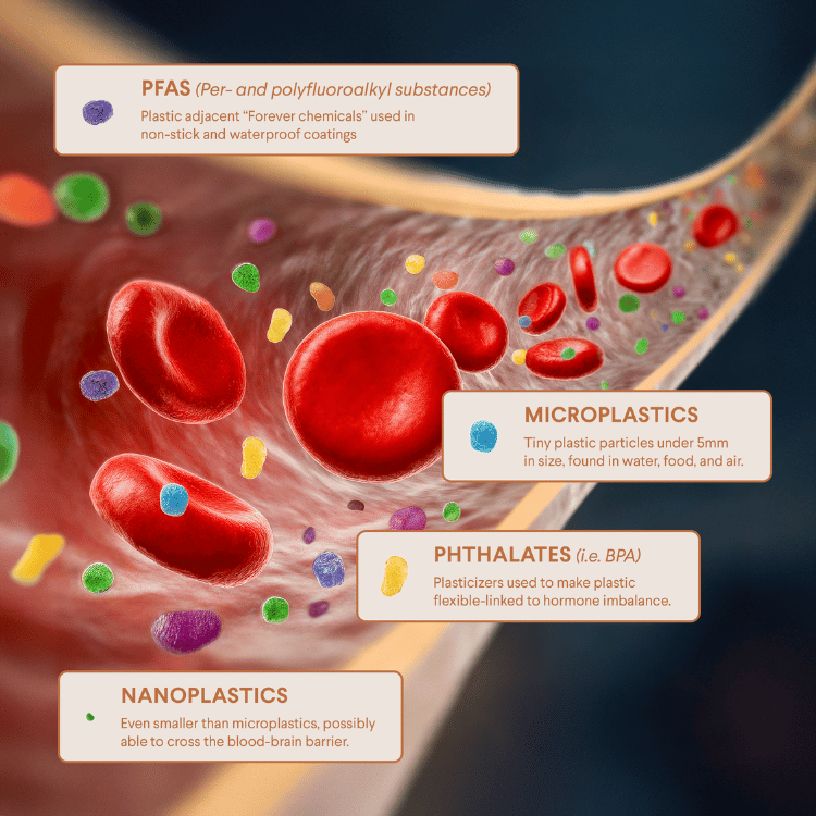 microplastic particles in the loodstream