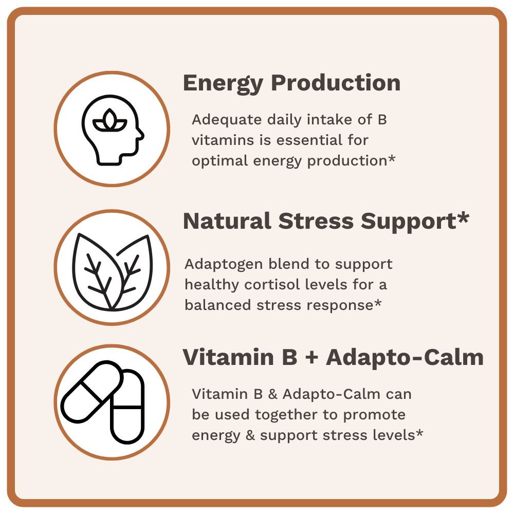 Stress & Energy Bundle - Utzy Naturals