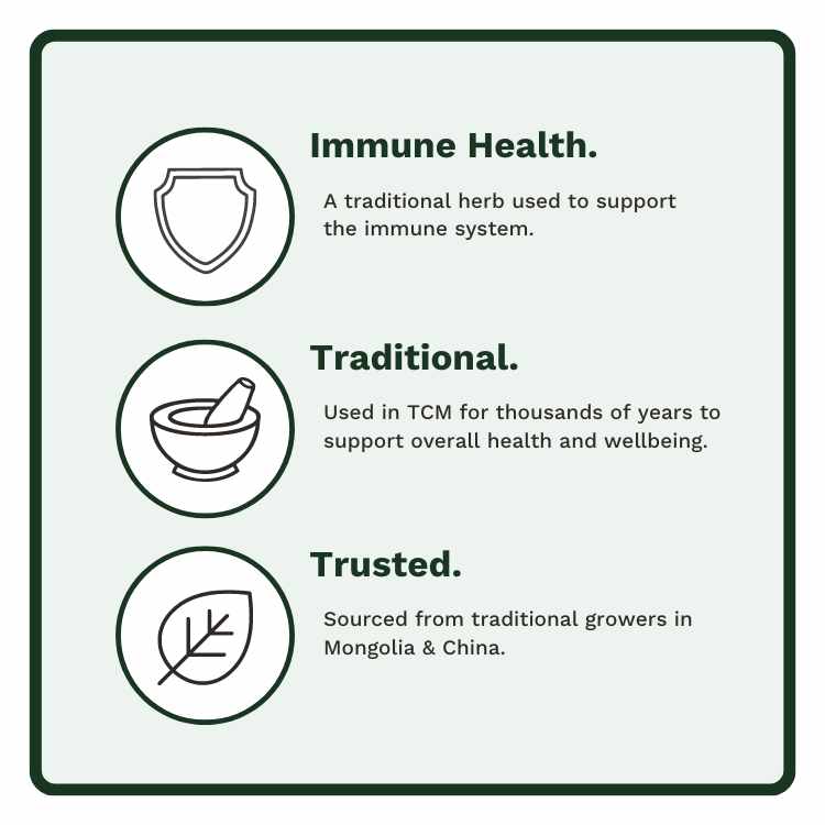 Astragalus - Utzy Naturals