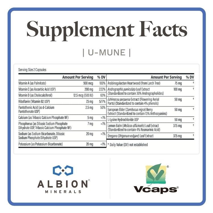 Immune Bundle - Utzy Naturals